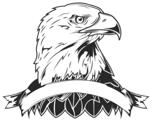 Aerial Command: Eagle Emblem