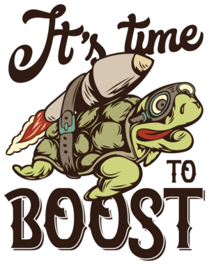 Blast Off, Turtle Style!