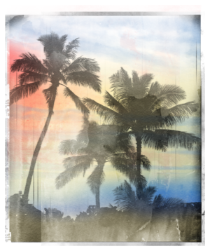 Serene Scape