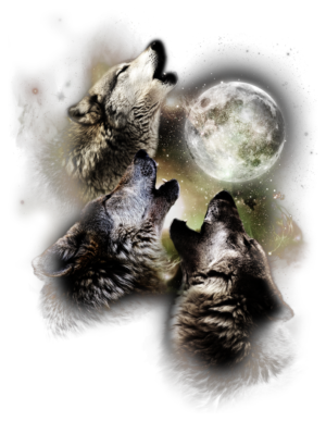 Lunar Howls