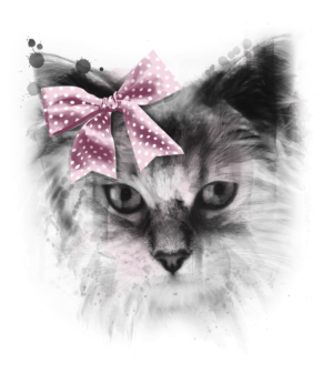 Catitude: Bow'd and Beautiful