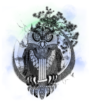 Nocturnal Spellbound