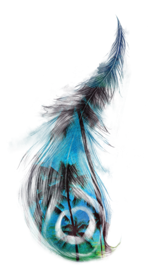 Island Fever Dream