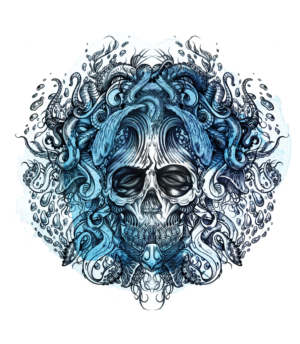 Macabre Skull Visions
