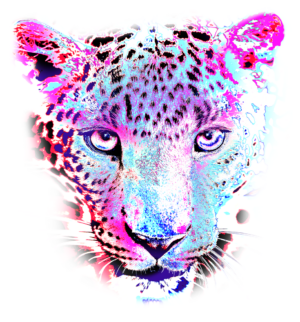 Leopard's Psychedelic Stare
