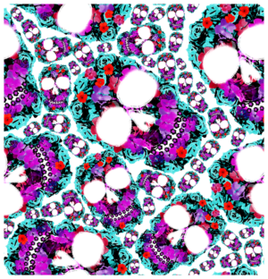 Psychedelic Pop Whirl