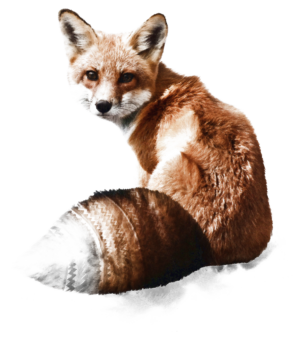 Woodland Whimsy: Fox on the Watch