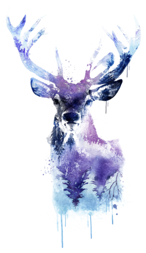 Mesmeric Deer with Human Glare