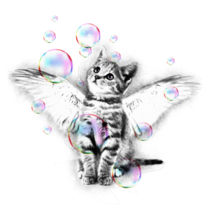 Surreal Bubble Winged Kitty
