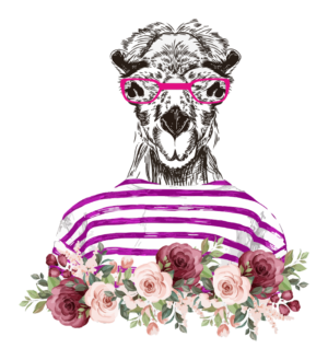 Llama with Glam Glasses