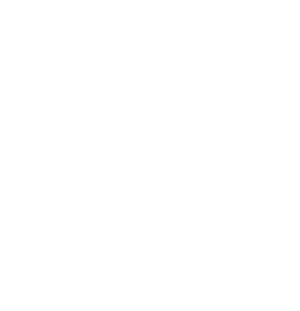 Unbridled Wisdom