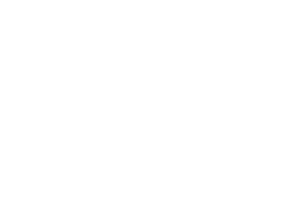 Pulse of Belief