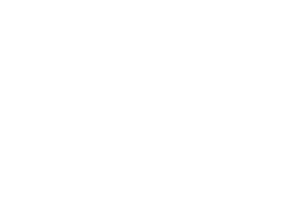 Love, Discs & Permission Slips