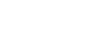 New England Or Nothing