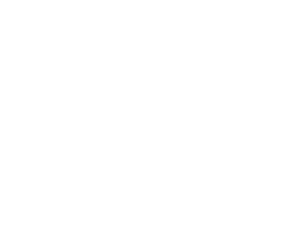 Pitbull Protector's Badge