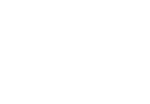 Chihuahua Invasion