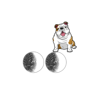 Bulldog's Cosmic Affection