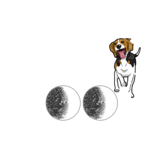 Lunar Beagle Devotion