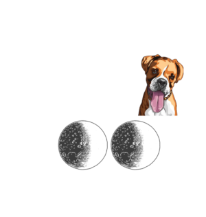 Boxer Love Universal Tribute