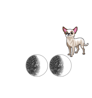 Puppy Moon Madness