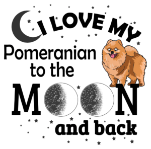 Space Bound Fluffball