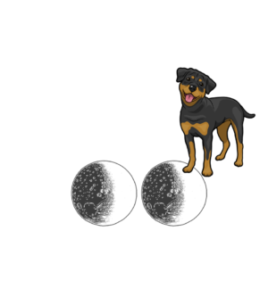 Celestial Canine Adoration