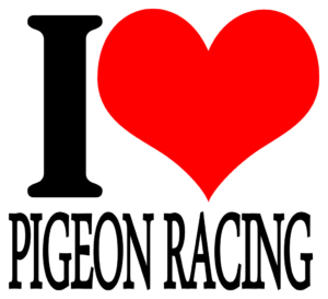 Heart Attack Graphic