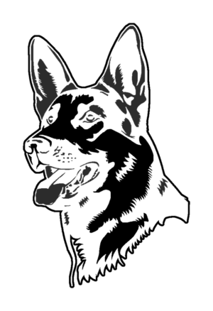 Shadow Alpha