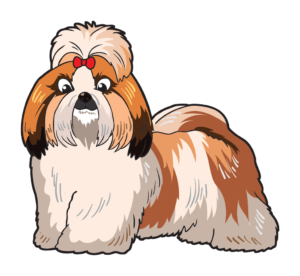 Sassy Shih Tzu Vibe