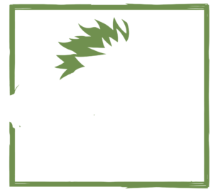 Explosive Hero