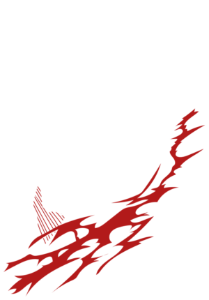 Ninja Frenzy Unleashed